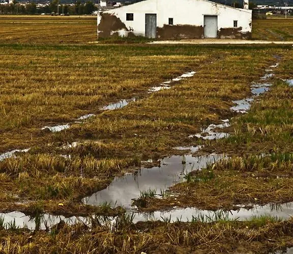 Virginia Maison d'hôtes